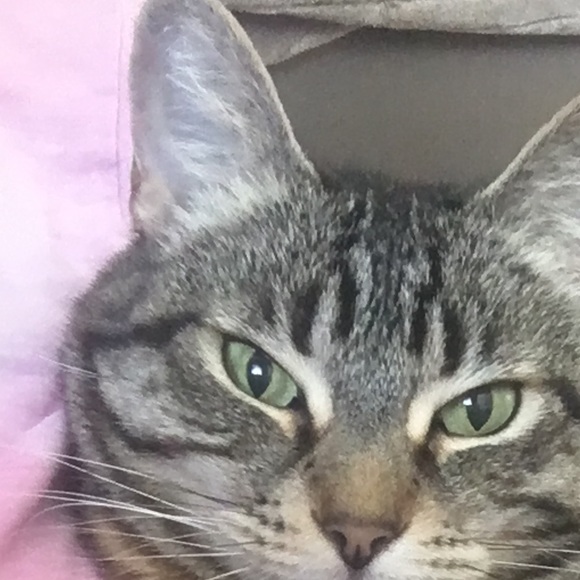 Meet your Posher, Paula - Picture 1 of 1